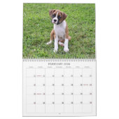 Boxer Puppy Calendar 2013 Kalender (Feb 2026)