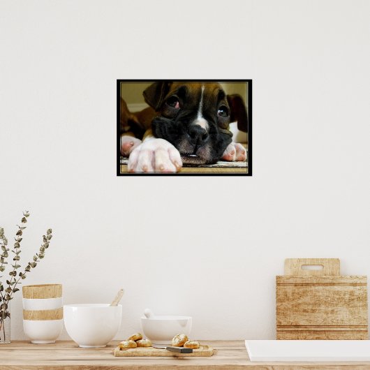 Boxer Puppy canvas afdrukken Poster (Keuken)
