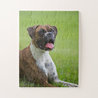 Boxer Puppy Dog 2 Legpuzzel