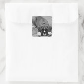 Boxer Puppy Dog Black en White Sticker / Seal (Tas)