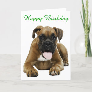 Boxer Puppy Dog Happy Birthday Kaart - Verse