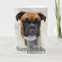 Boxer Puppy Dog Happy Birthday Kaart - Verse
