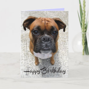 Boxer Puppy Dog Happy Birthday Kaart - Verse