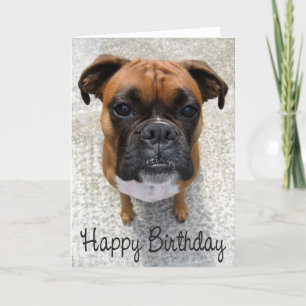 Boxer Puppy Dog Happy Birthday Kaart - Verse