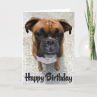 Boxer Puppy Dog Happy Birthday Kaart - Verse