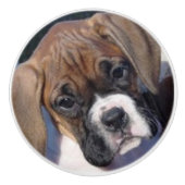 Boxer puppy drawer knop (Voorkant)