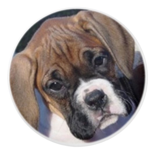 Boxer puppy drawer knop (Voorkant)