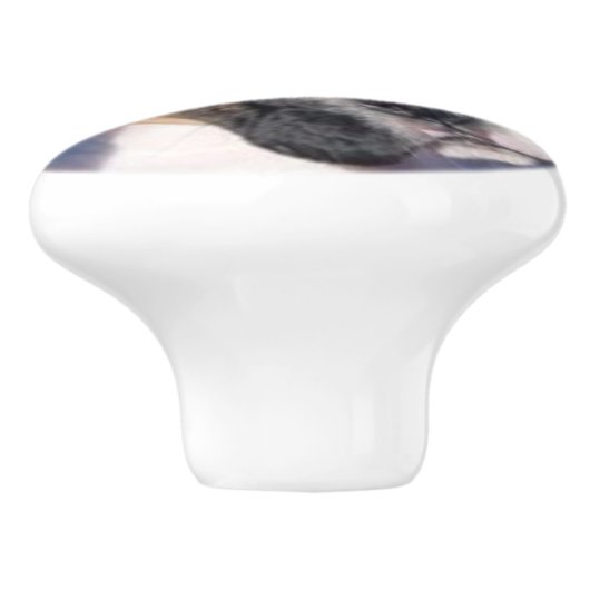 Boxer puppy drawer knop (Zijkant)