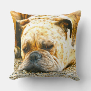 Boxer Puppy Hond Water Kleur Olieverf Kunst Kussen