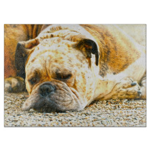 Boxer Puppy Hond Water Kleur Olieverf Kunst Snijplank