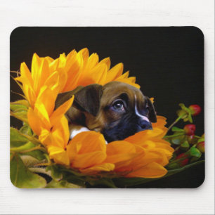 Boxer puppy in Sunflower mousepad Muismat