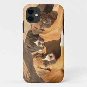 Boxer puppy iPhone 5 Barely There Universele Hoes