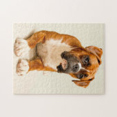 Boxer puppy on ivory cream backdrop. legpuzzel (Horizontaal)