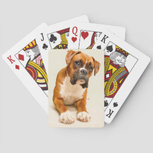 Boxer puppy op ivoorcrème achtergrond. pokerkaarten