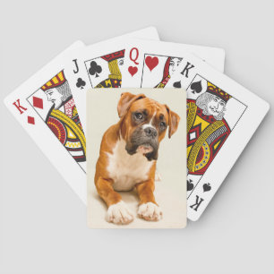 Boxer puppy op ivoorcrème achtergrond. speelkaarten