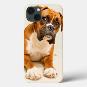 Boxer puppy op ivoorkleurige achtergrond. iPhone 13 hoesje