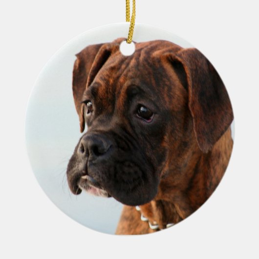 Boxer puppy ornament (Voorkant)