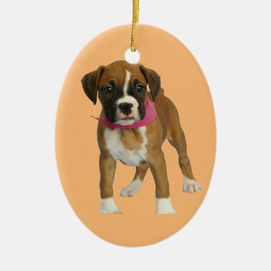 Boxer Puppy Oval Ornament (Voorkant)