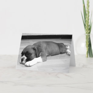 Boxer puppy "Sasha" ontspannend wenskaart Kaart