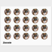 Boxer Puppy stickers (Vel)
