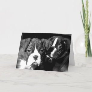 Boxer pups wenskaart kaart