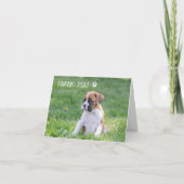 Boxer Pupy Chien Merci Cartes - Boxer Chien (Devant)