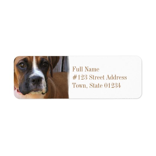 Boxer Rescue retour adres label (Voorkant)