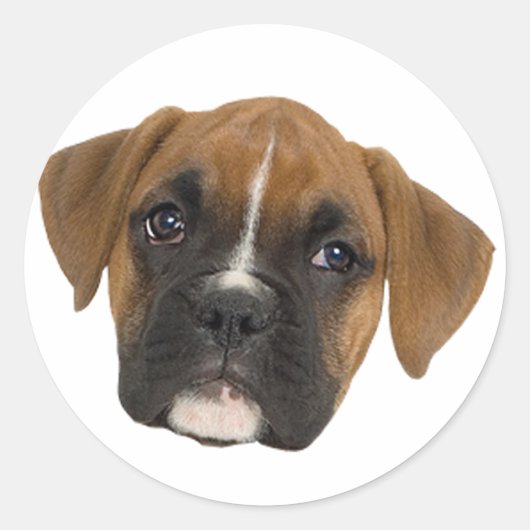 Boxer Ronde Sticker (Voorkant)