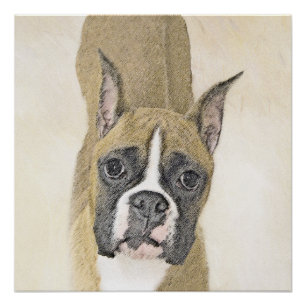 Boxer-schildering - Kute Original Dog Art Perfect Poster