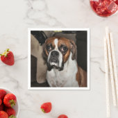 Boxer Servetten (Insitu)