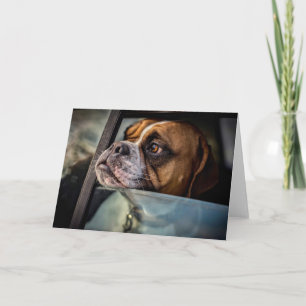 Boxer smelt een BBQ-kaart Kaart