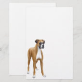 Boxer Stationery Briefpapier (Voorkant / Achterkant)