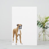 Boxer Stationery Briefpapier (Staand voorkant)