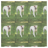 Boxer Stof (Swatch)
