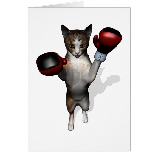 Boxer Tabby (Voorkant)