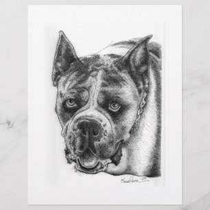 Boxer Tekening Flyer