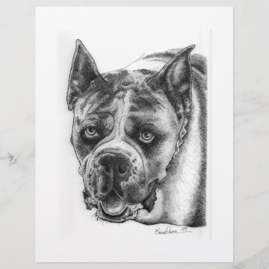 Boxer Tekening Flyer (Voorkant)
