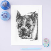 Boxer Tekening Flyer (Enkel)