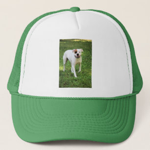 Boxer Trucker Pet