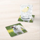 Boxer Vierkante Kartonnen Onderzetter (Insitu)