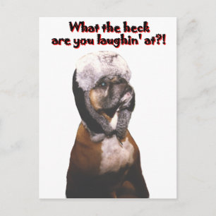 Boxer: Wat de Heck! Briefkaart