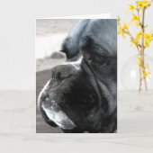 Boxer-wenskaart Kaart (Gele Bloem)