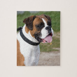 Boxer-zitting Legpuzzel