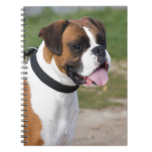 Boxer-zitting Notitieboek