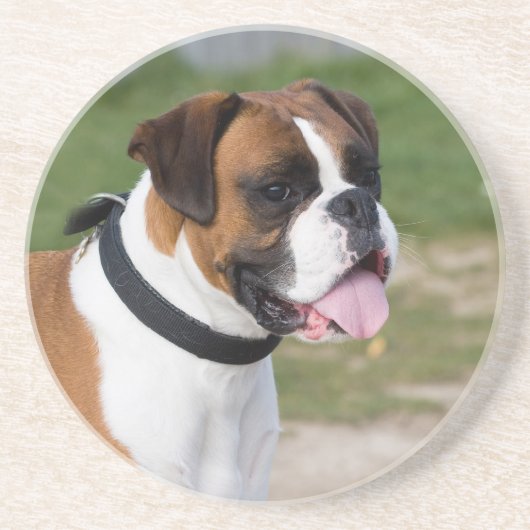 Boxer-zitting Zandsteen Onderzetter (Voorkant)