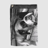 Boxerhond op vensterbank GTCNA Golfhanddoek (Voorkant)