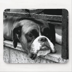 Boxerhond op vensterbank MPCNA Muismat