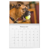 BOXERS 2010 KALENDER (Feb 2027)