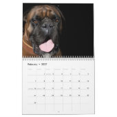 Boxers Dogs 2025 Calendrier (Feb 2027)