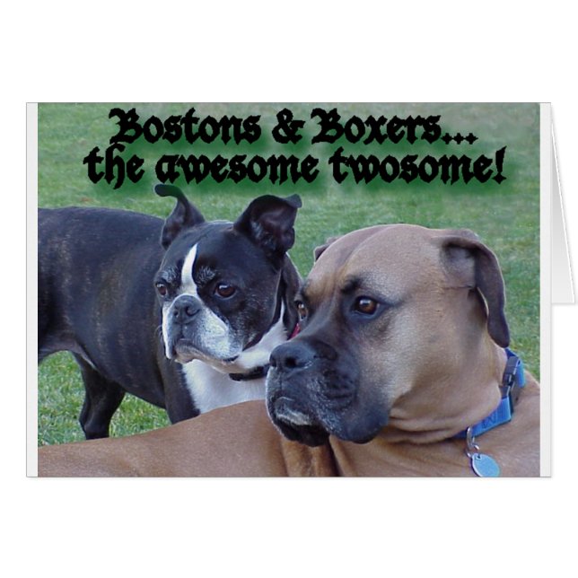 Boxers en Bostons (Voorkant Horizontaal)